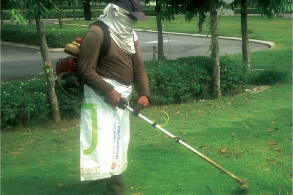 Landscaping Services